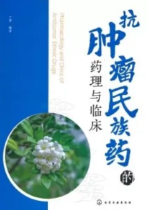 抗肿瘤民族药的药理与临床