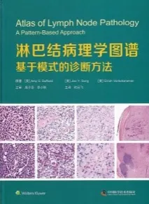 淋巴结病理学图谱 基于模式的诊断方法