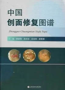 中国创面修复图谱