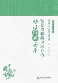 常见皮肤病中医外治妙法经典荟萃