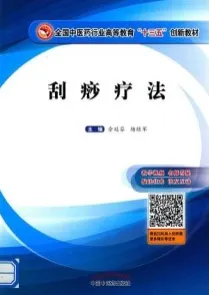 刮痧疗法 第2版