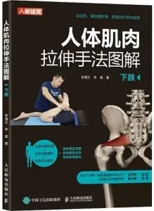 人体肌肉拉伸手法图解（下肢）