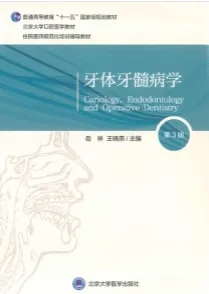 牙体牙髓病学 第3版