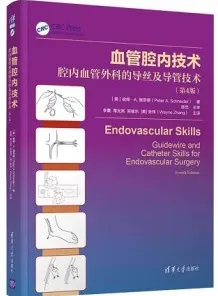血管腔内技术 腔内血管外科的导丝及导管技术 第4版