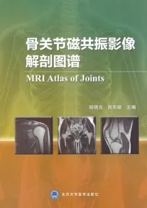 骨关节磁共振影像解剖图谱