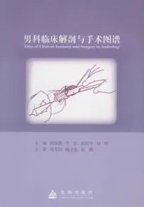 男科临床解剖与手术图谱