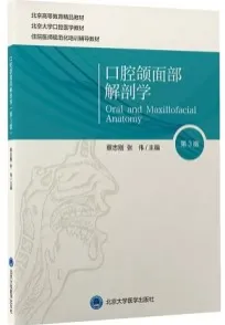 口腔颌面部解剖学 第3版