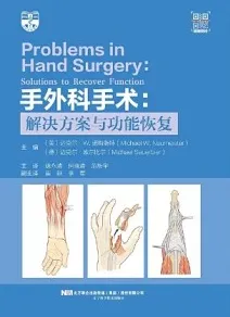 手外科手术 解决方案与功能恢复