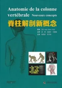 脊柱解剖新概念