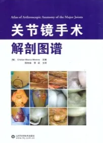 关节镜手术解剖图谱