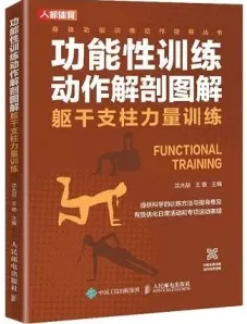 功能性训练动作解剖图解 躯干支柱力量训练