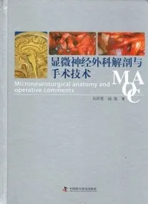 显微神经外科解剖与手术技术