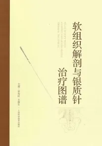 软组织解剖与银质针治疗图谱
