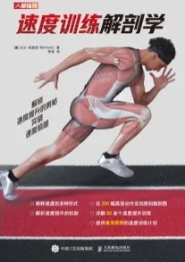 速度训练解剖学