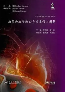 血管和血管腔内手术要领与图解