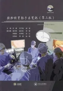 腹腔镜胃肠手术笔记 第2版