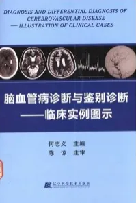 脑血管病诊断与鉴别诊断 临床实例图示