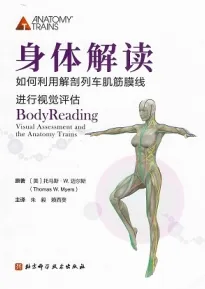身体解读 如何利用解剖列车肌筋膜线进行视觉评估