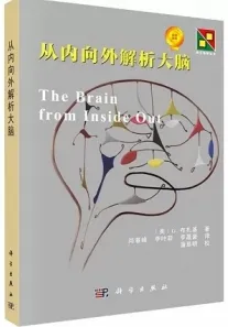 从内向外解析大脑