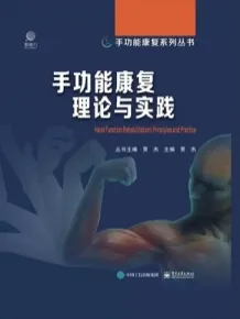 手功能康复理论与实践