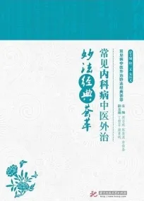常见内科病中医外治妙法经典荟萃