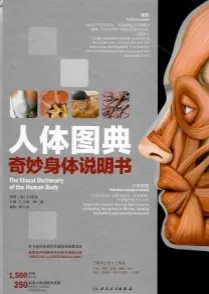 人体图典 奇妙身体说明书