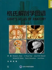 格氏解剖学图谱 第3版 中英双语