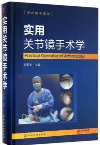实用关节镜手术学