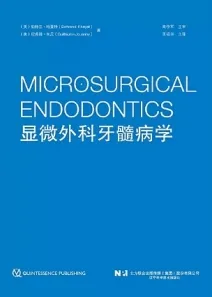显微外科牙髓病学