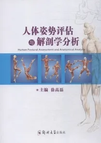 人体姿势评估与解剖学分析