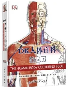 DK人体百科涂色版