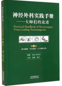 神经外科实践手册 大师们的论述 第二卷 颅内肿瘤 术中监测 小儿神经外科