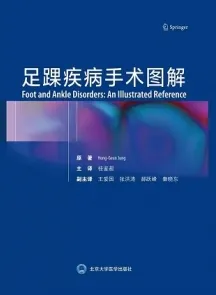 足踝疾病手术图解