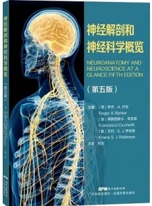 神经解剖和神经科学概览 第5版