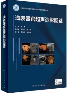 浅表器官超声造影图鉴