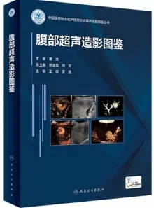 腹部超声造影图鉴