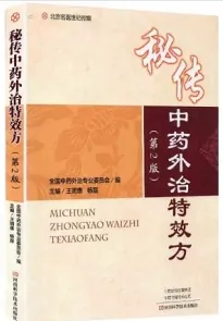 秘传中药外治特效方 第2版