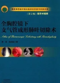 全胸腔镜下支气管成形肺叶切除术 第2版