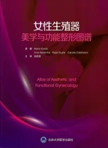 女性生殖器美学与功能整形图谱