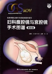 妇科腹腔镜与宫腔镜手术图谱 基础篇