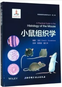 小鼠组织学