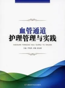 血管通道护理管理与实践