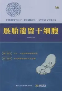胚胎遗留干细胞
