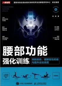 腰部功能强化训练 预防损伤 缓解慢性疼痛与提升运动表现