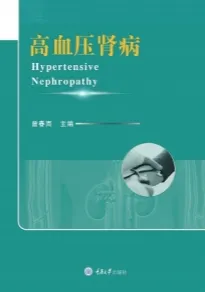 高血压肾病