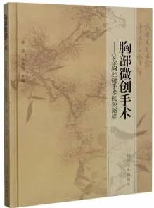 胸部微创手术 复杂胸腔镜手术视频图谱