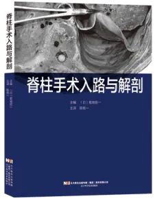 脊柱手术入路与解剖