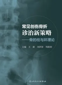 常见创伤骨折诊治新策略 骨的柱与环理论