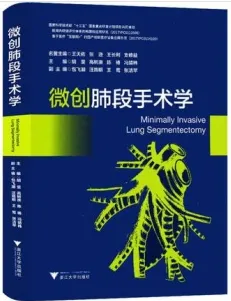微创肺段手术学
