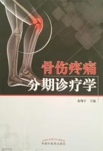 骨伤疼痛分期诊疗学